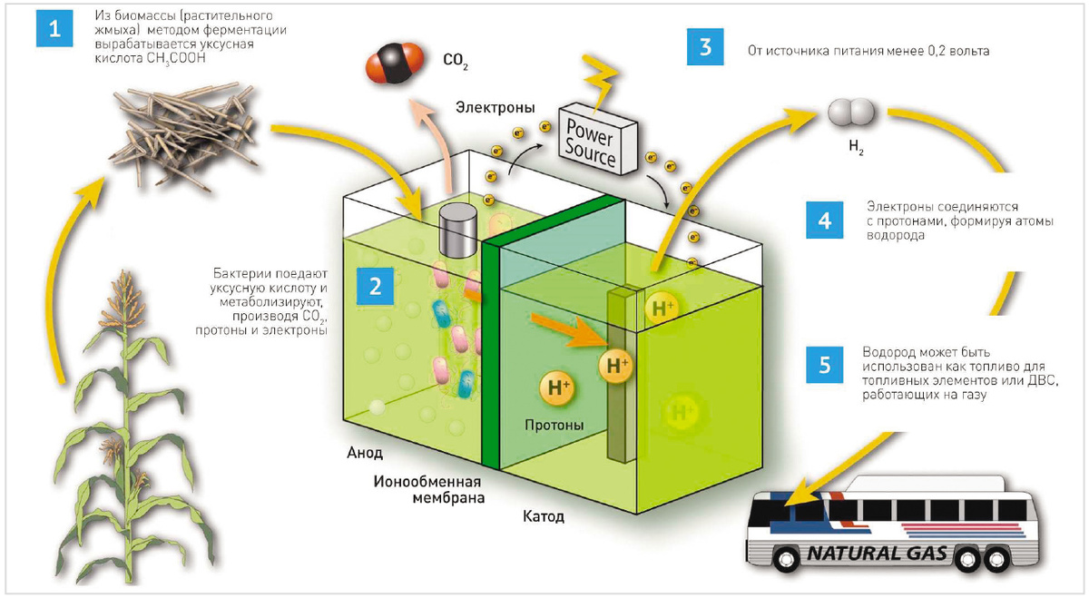 Рис. 1. Схема водородной газовой установки