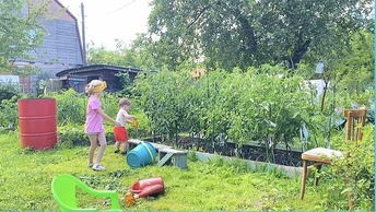 Такой чудесный день,такой чудесный суп и классные помощники/Дачный влог и Мукбанг