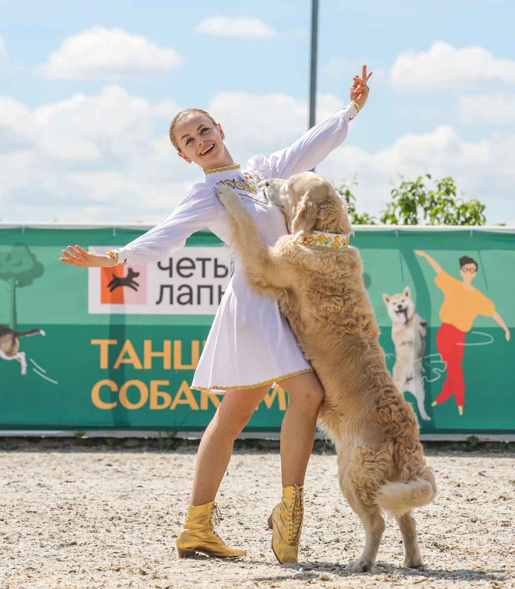 Вас ждут яркие выстпуления спортсменов и живописные места для фото 