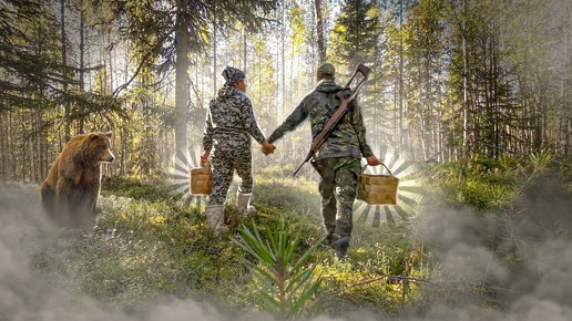 ЗАглянули в березняк и обалдели. Немеряно грибов под кронами деревьев. Жена в шоке от увиденного в лесу