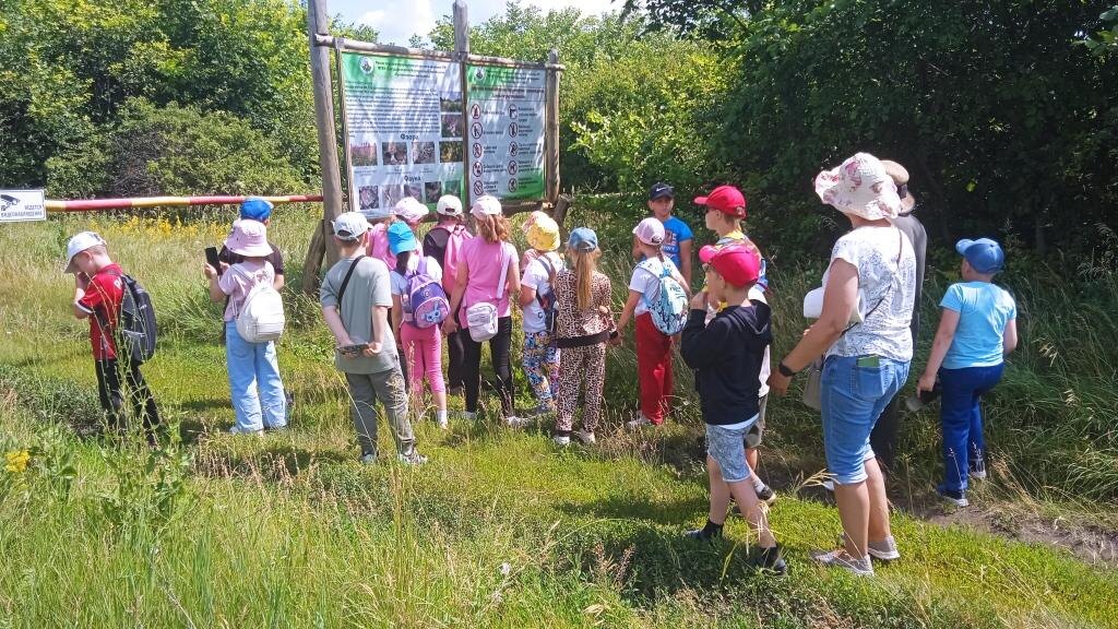 Расскажу как внимательность помогла найти редкую бабочку