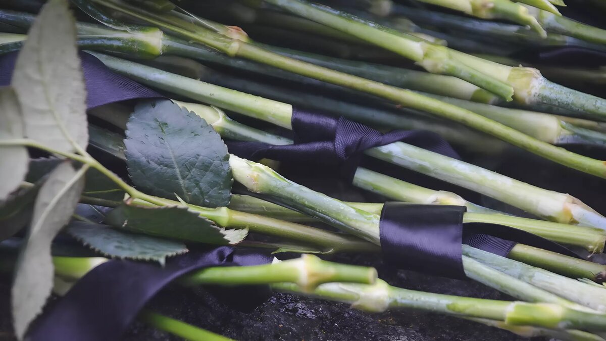     Источник: 1MI