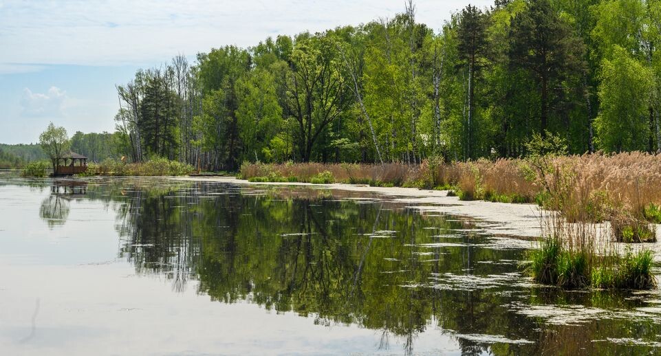    Медиасток.рф