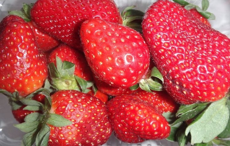    Россия является основным рынком сбыта белорусской клубники