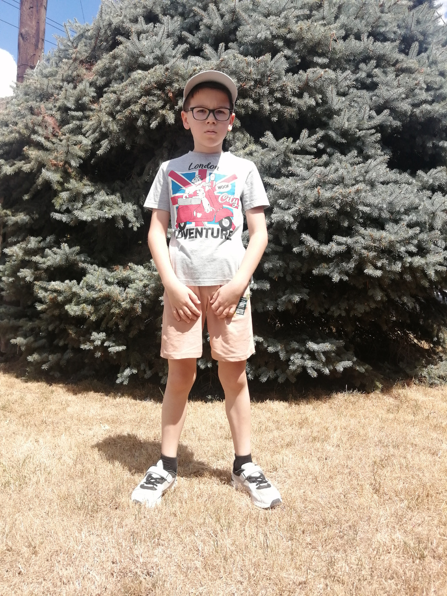 Раскидистая ель. 