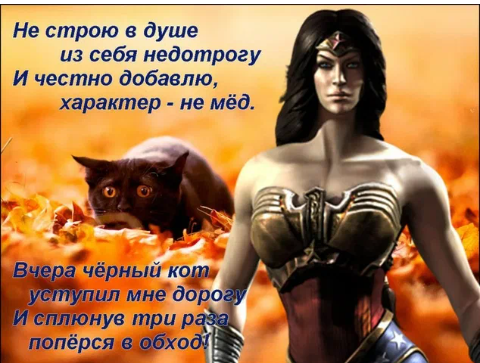 Взято в интернете