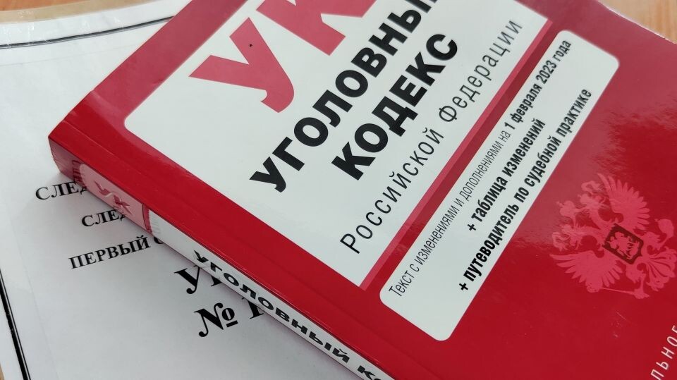    Уголовный кодекс РФ. Источник: altai-krai.sledcom.ru