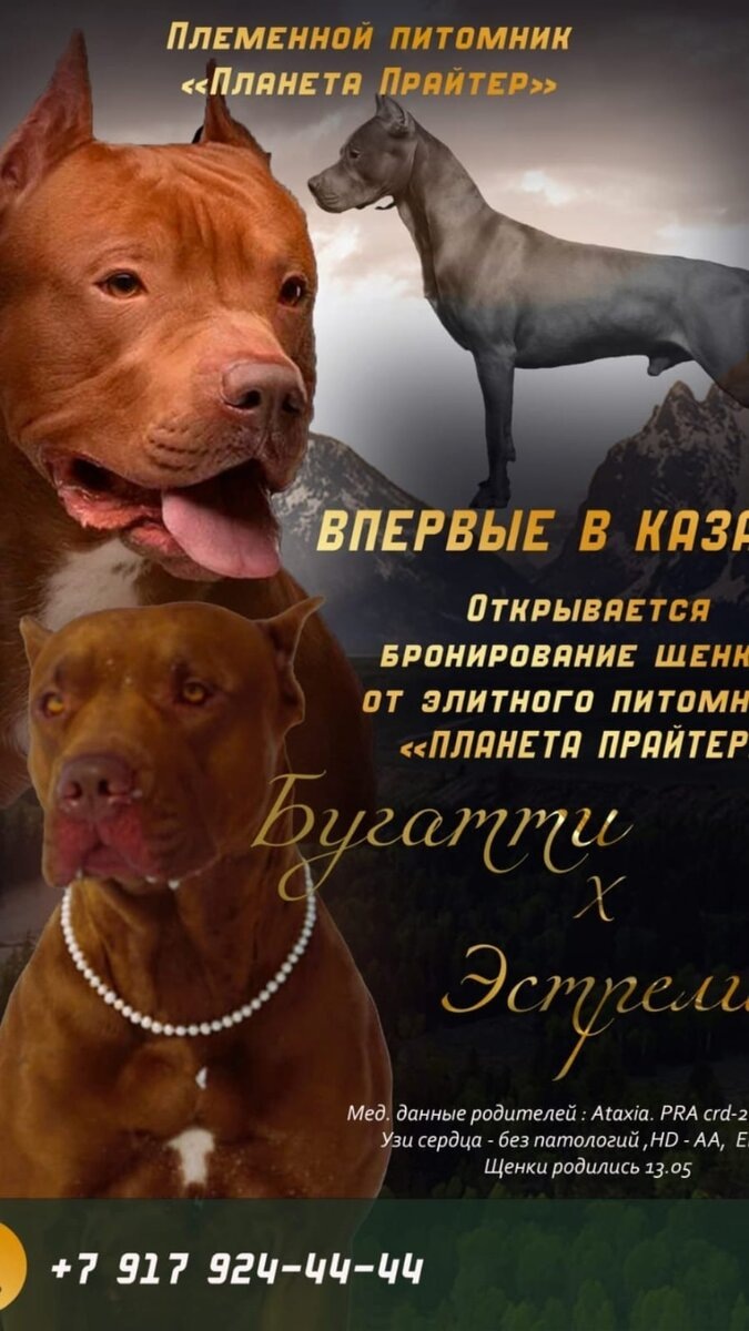 Добавьте описание