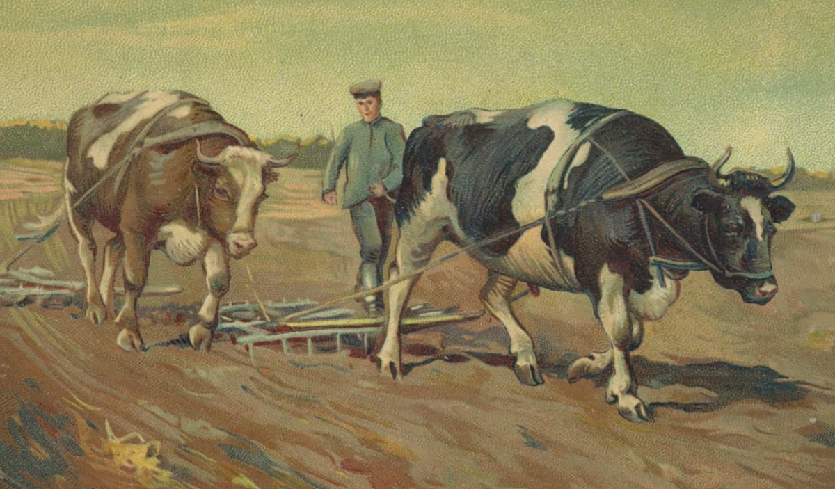Пахота в картинах русских художников. Источник: Яндекс. Картинки