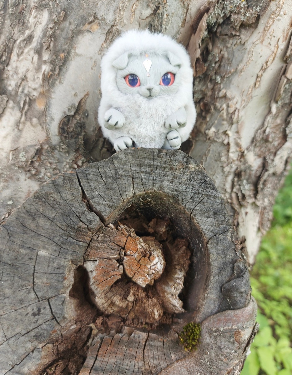 Наш друг - котенок