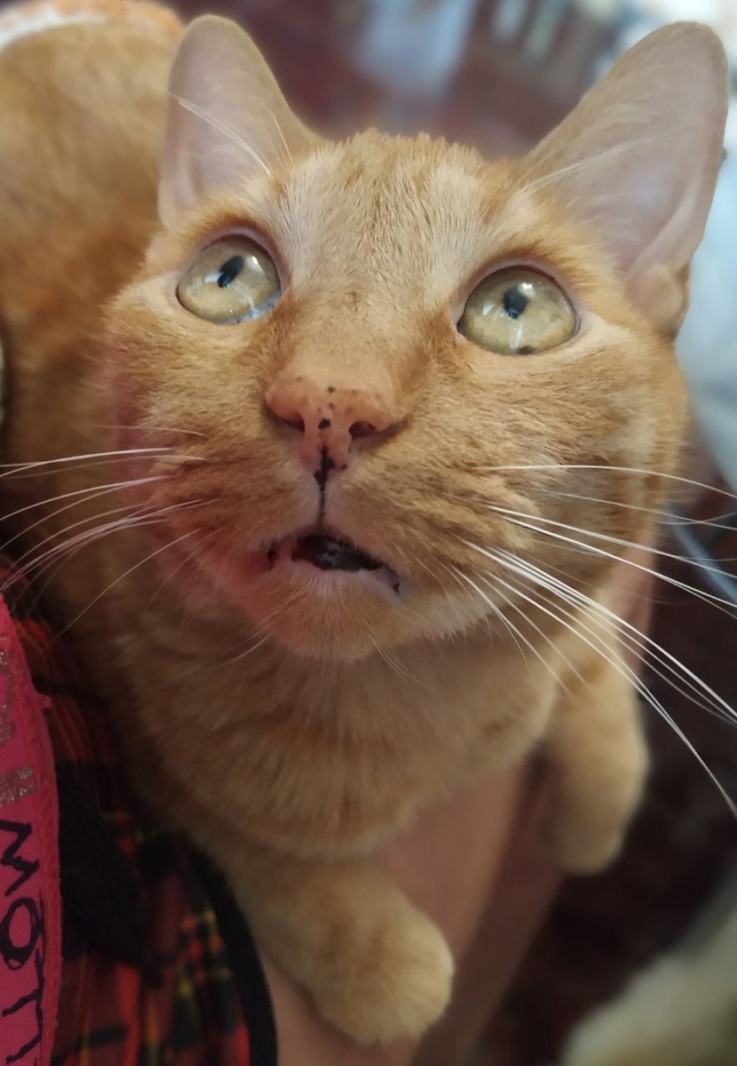 Пиксель в шоке от такого подхода и не понимает, как такое возможно