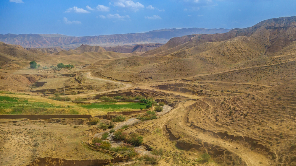    Фото: Shutterstock.com