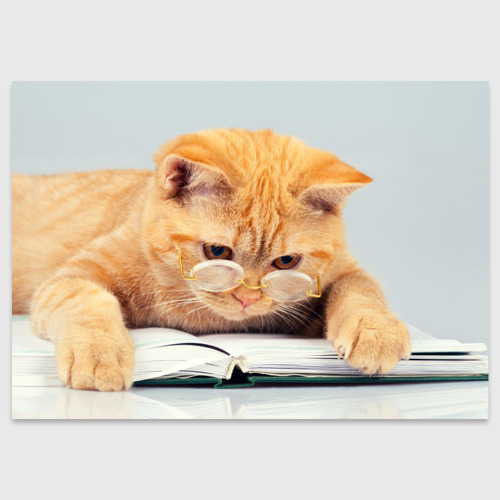 Фото из Яндекса