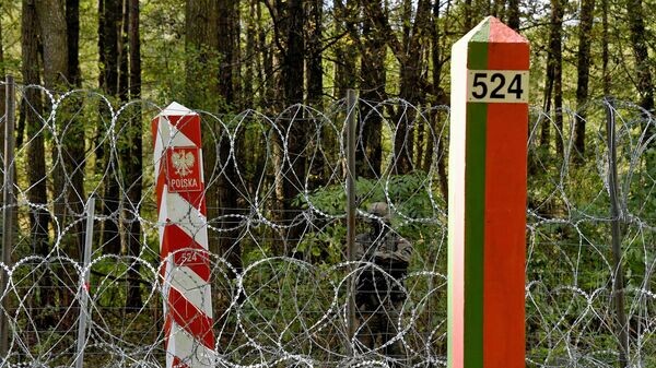    © Sputnik / Виктор Толочко