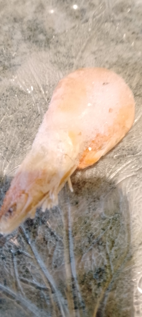 Личное фото