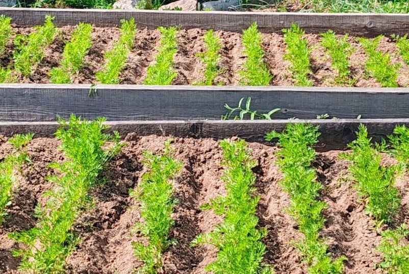   МК в Бурятии