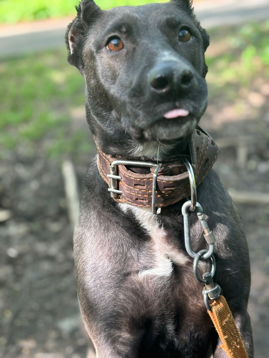 Асенька 2024 год