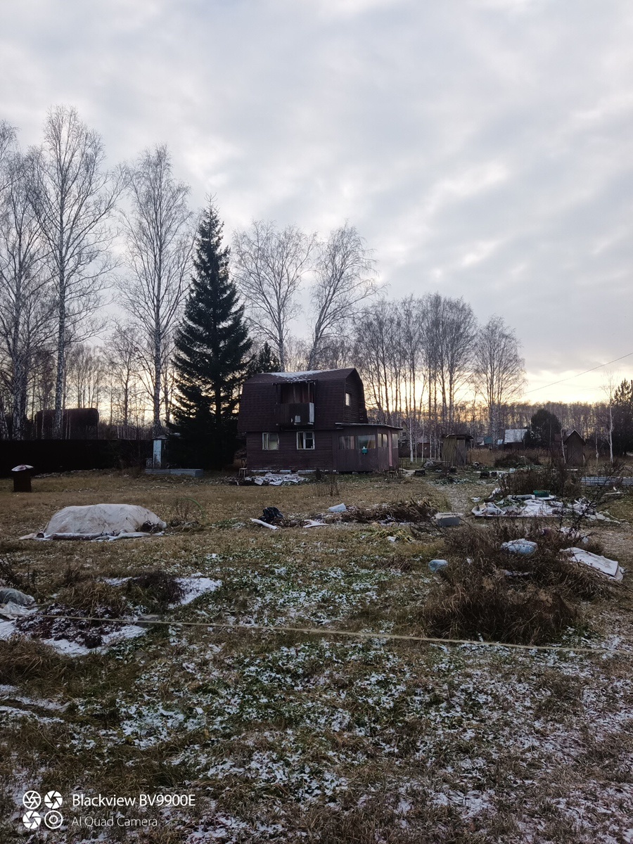 28 октября 2023. Вот такая была погода.