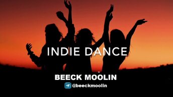 INDIE DANCE ONLY MIX 2024 #27