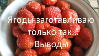 Ягоды заготавливаю только так… // Выводы