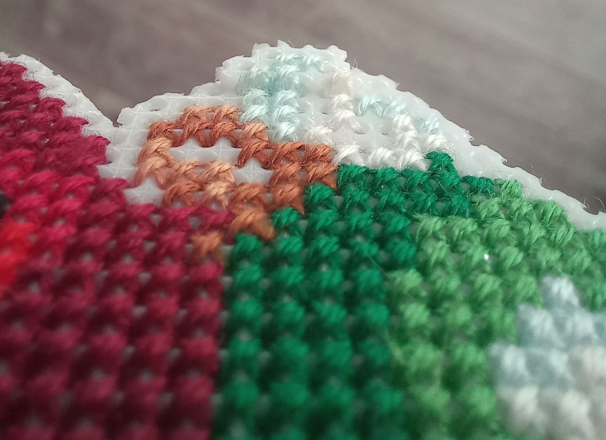 Снято макросъемкой. Коса Натахи 