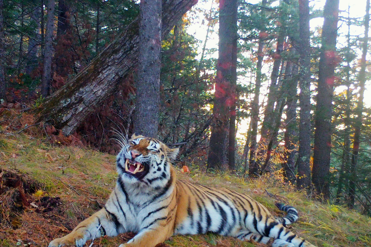 Автор фото: Гончаров Даниил, участник фотоконкурса "Самая красивая страна"