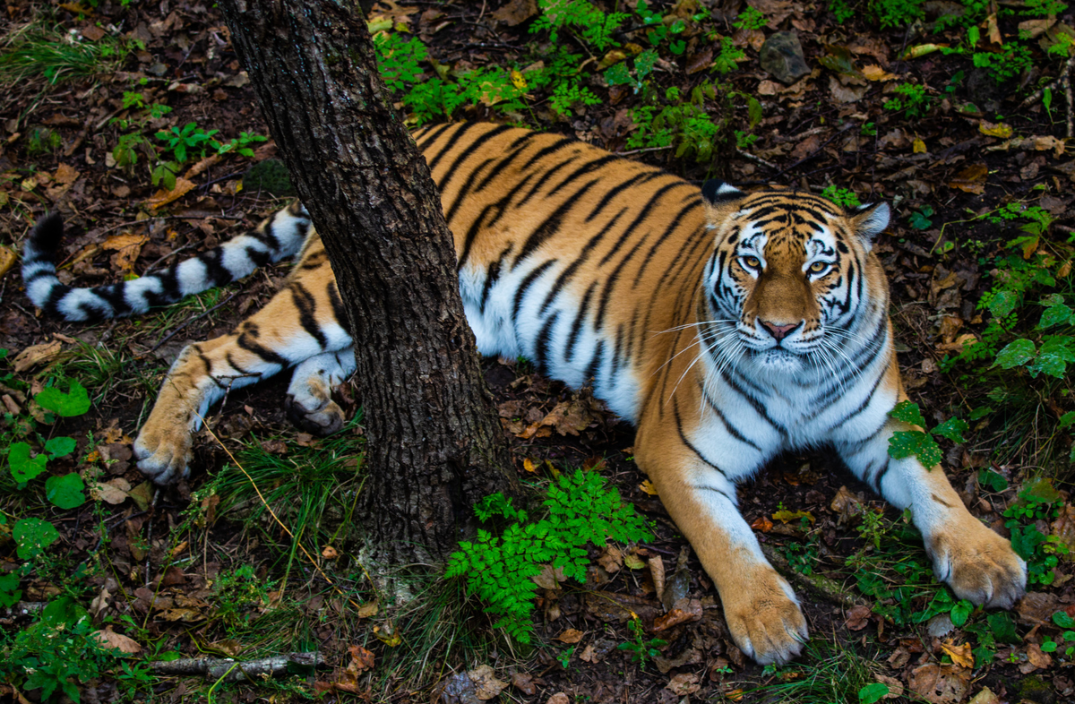Автор фото: Галкин Владимир, участник фотоконкурса "Самая красивая страна" 