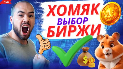 Hamster Kombat Листинг. Выбор и смена биржи в хомяке