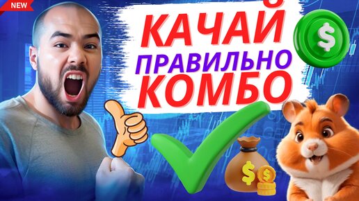 Hamster Kombat правильная прокачка комбо и листинг в хомяке