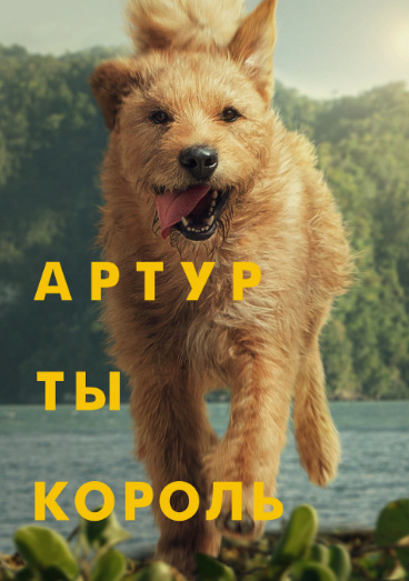 Постер к фильму "Артур - ты король"