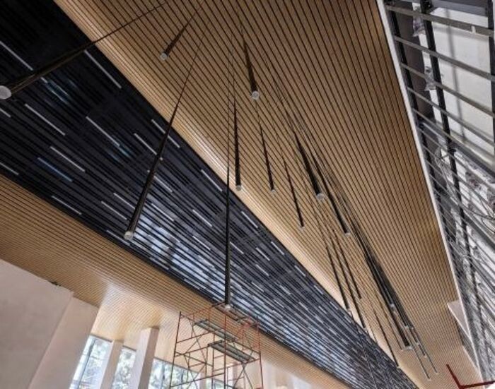 Источник фото: Телеграм-канал Василия Голубева