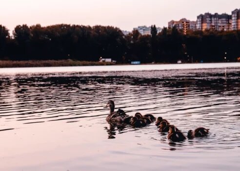 Фото: Варвара Вострокнутова📷


📷


📷

