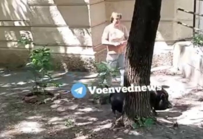 Источник фото: Телеграмм-канал "Военвед Ростов"