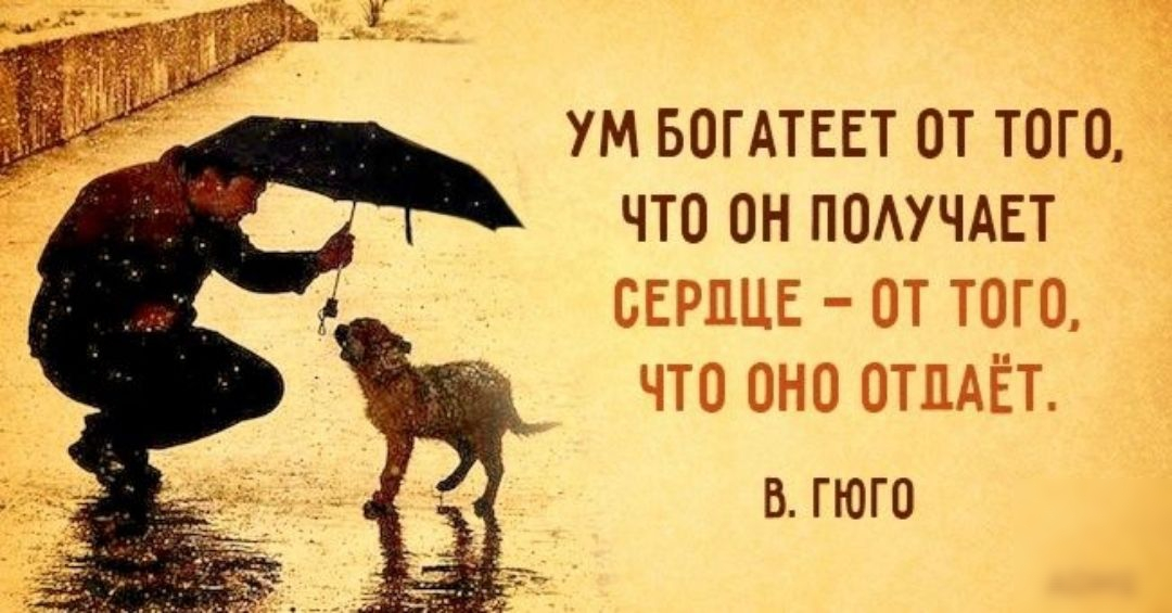 Должно что то получится. Фразы о доброте. Фразы про добрые дела. Хорошие цитаты. Фразы про добро.