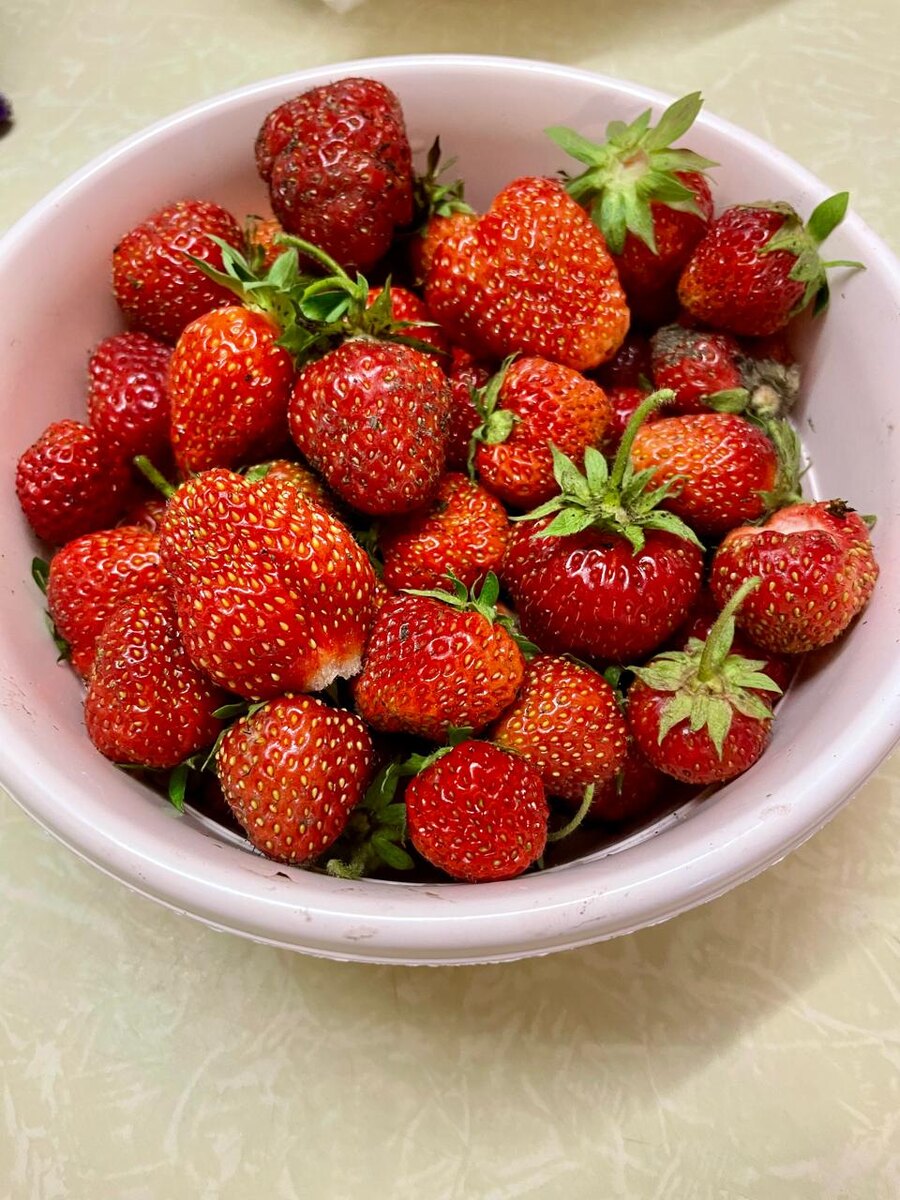 Эту миску утром собрала