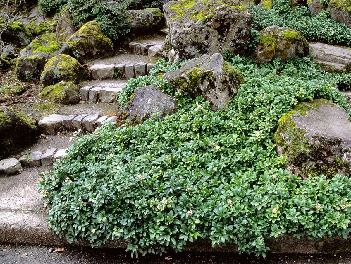 Фото: alexsad.ru