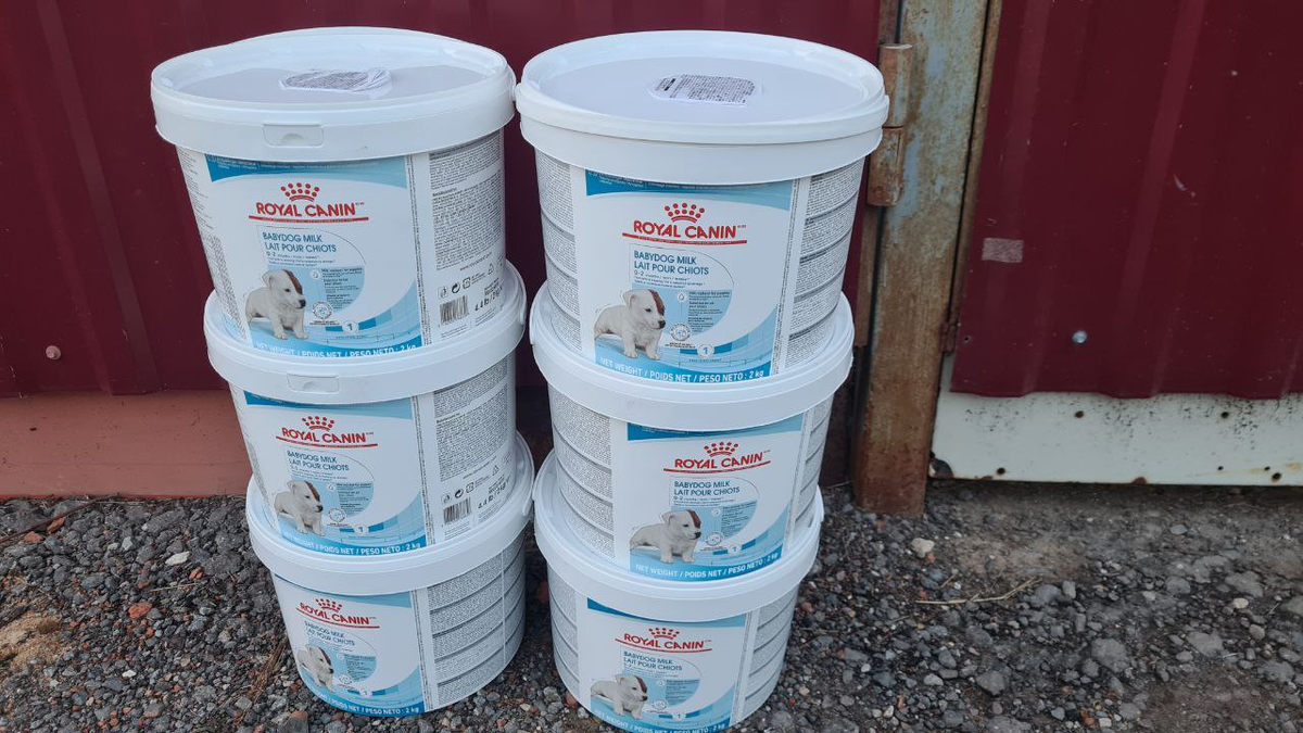 Корм для малышей, у которых нет мамы