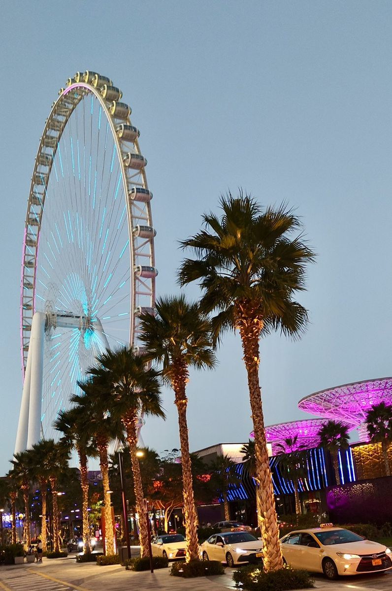 Вид на колесо Ain Dubai в сумерках