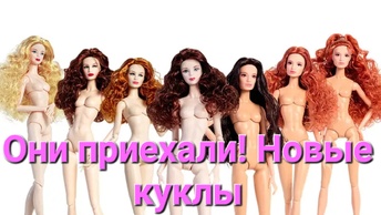 Они приехали! Новые китайские куклы fashion doll looks. Распаковка и обзор😍