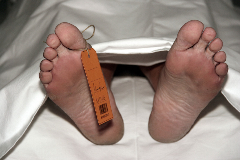    Фото: CHROMORANGE/Bilderbox/Globallookpress