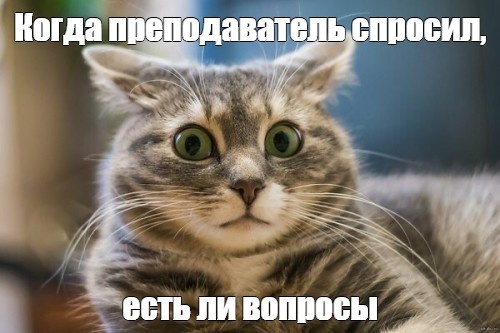 И такое бывает