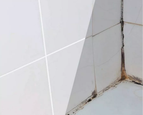 Редкие товары на Wildberries, которые вы еще не видели