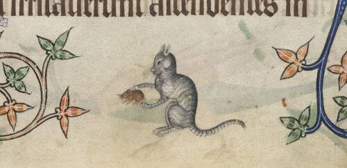 Кошка и мышка. Средневековая миниатюра 14 века.