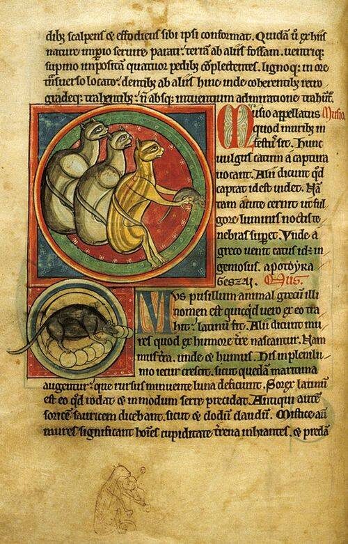 Кошки делают богоугодное дело. Средневековая миниатюра с изображением кошек, ловящих мышей, которые воруют церковные облатки ( 13 век).