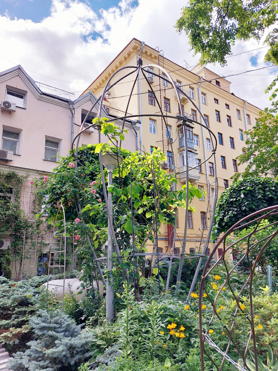 фото автора ТГ канала Нюсины прогулки 