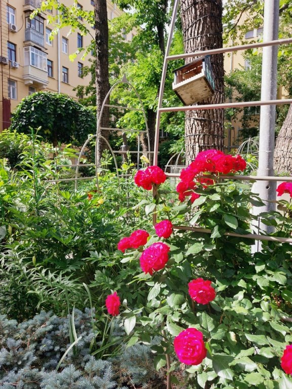 фото автора ТГ канала Нюсины прогулки 