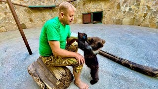 Вы ТОЛЬКО ПОСМОТРИТЕ как спасенный медвежонок рад что Олег Зубков будет кормить его из бутылочки!