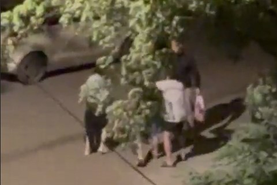    Скриншот hardkorushka_bot.