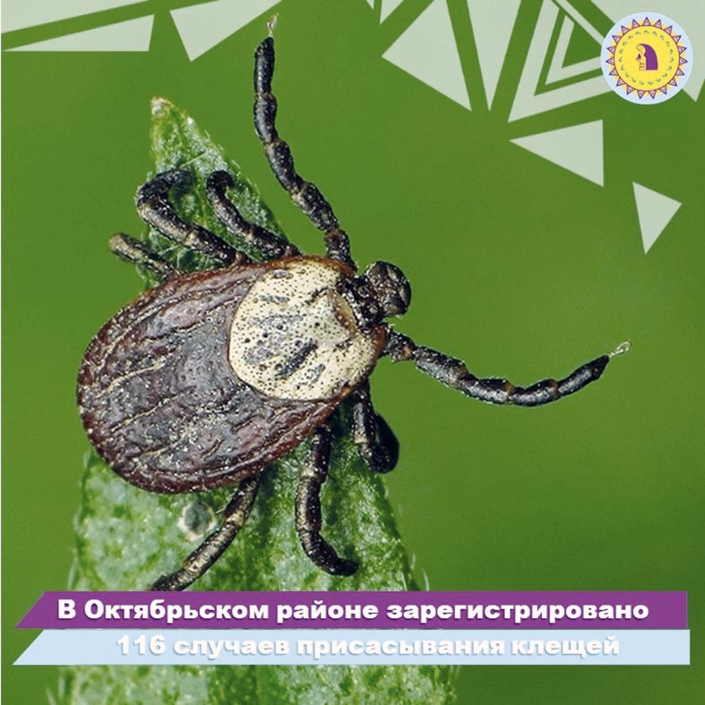    Берегите себя и своих близких!