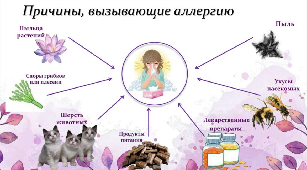 картинка из открытого доступа